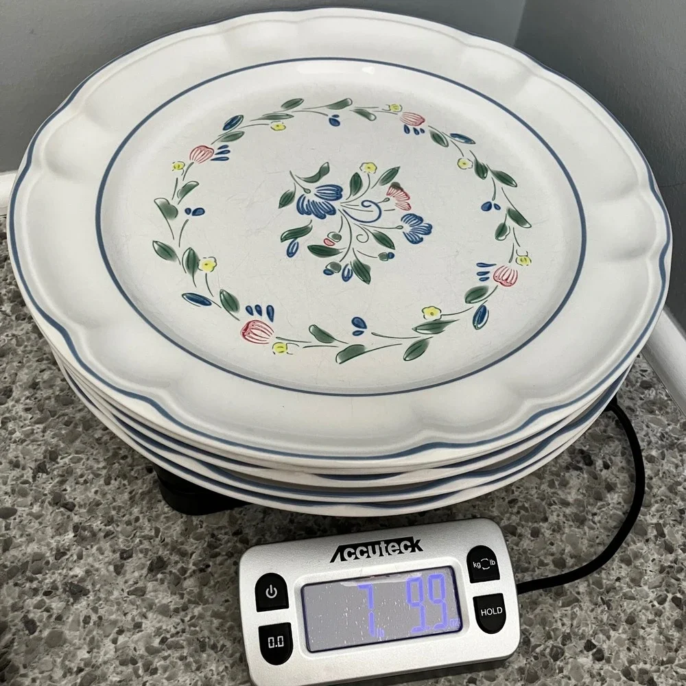 Floral Expression Stoneware Dinner Plates Set of 5 Vintage Blue Floral Scalloped